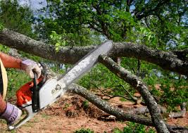 How Our Tree Care Process Works  in  Netcong, NJ